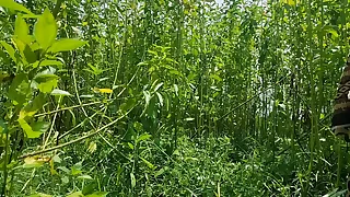 Desi Bhabhi hard fuck outdoor sex videos anal sex